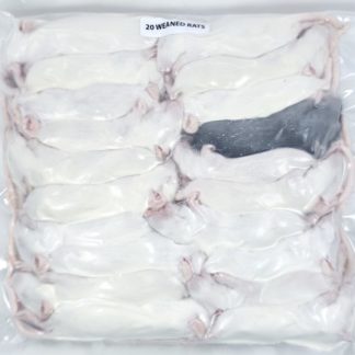 Weaned Rats (20/Pack)