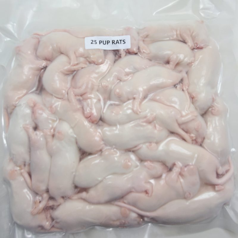 Example of frozen rat packaging
