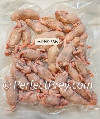 Frozen Rat Pinkies 25-pack