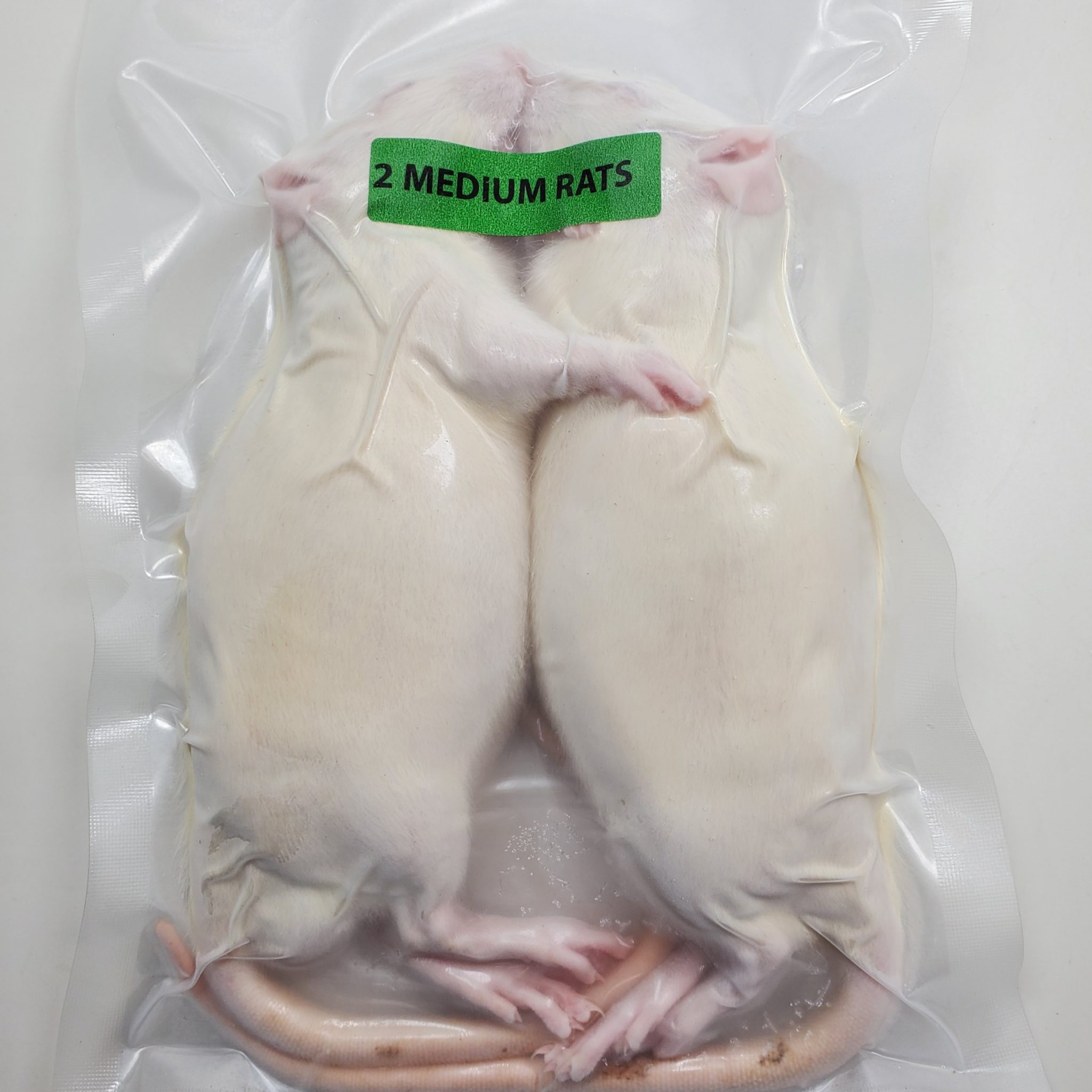Weaned Rats (20/Pack) - PerfectPrey.com