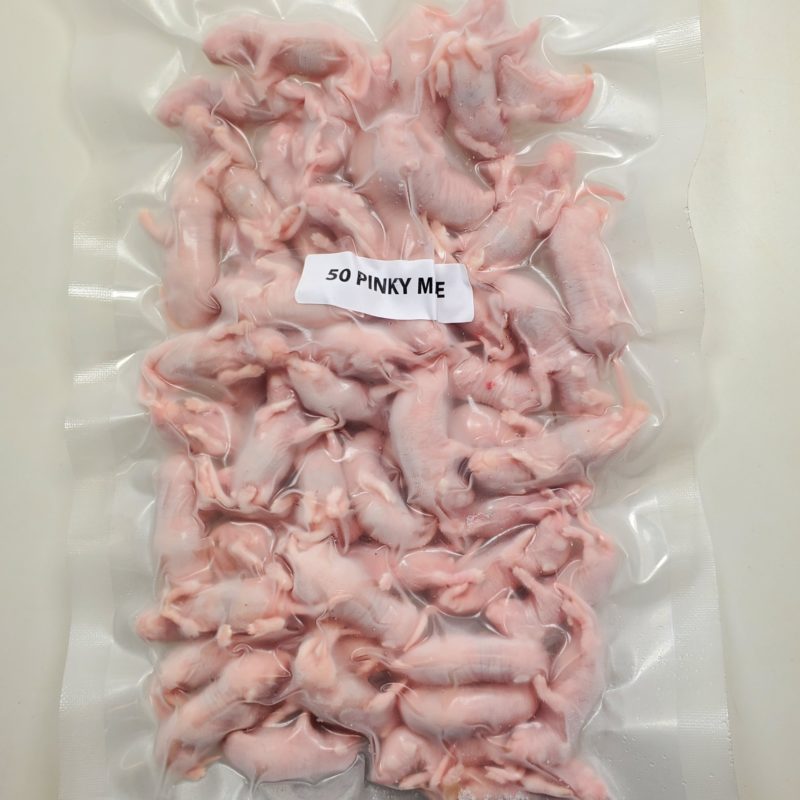 Pinky Mice 50 Pack 