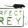 Frozen Feeder Rodents: Specializing in the highest quality frozen feeder rodents for your reptiles. We offer the cleanest frozen feeder rats and frozen feeder mice at affordable prices.